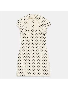 Zara Polka Dot Dress
